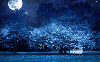 Bench in the moonlit park wallpaper | Moon garden, Night garden, Fantasy landscape